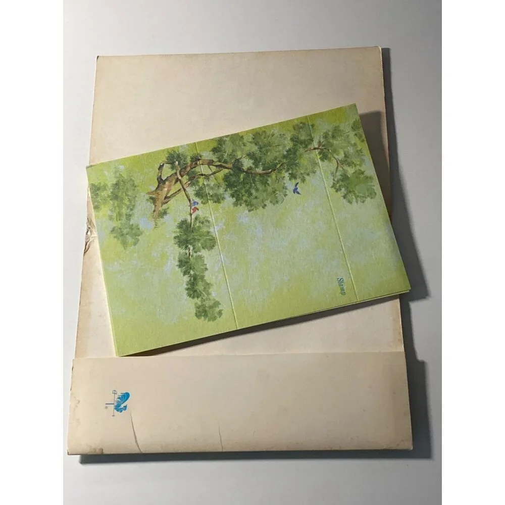 Current Note Cards Blank Floral Scenery Just Notes Self Sealing Photography VTG